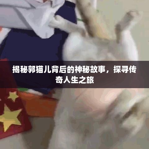 揭秘郭猫儿背后的神秘故事，探寻传奇人生之旅