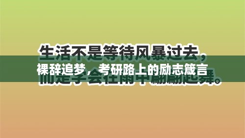 裸辞追梦，考研路上的励志箴言