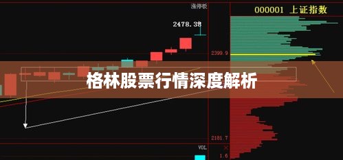 格林股票行情深度解析