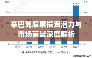 辛巴克股票投资潜力与市场前景深度解析