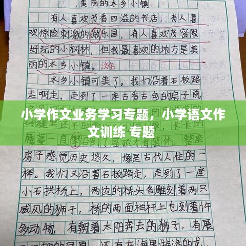 小学作文业务学习专题，小学语文作文训练 专题 