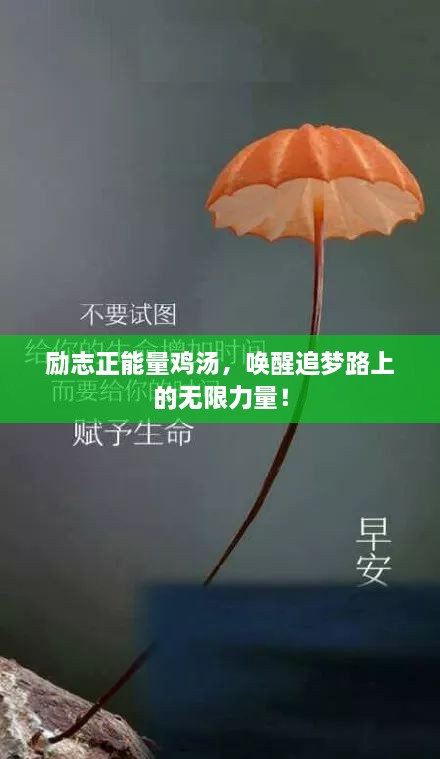 励志正能量鸡汤，唤醒追梦路上的无限力量！