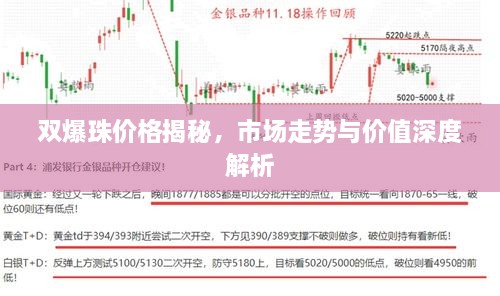 双爆珠价格揭秘，市场走势与价值深度解析