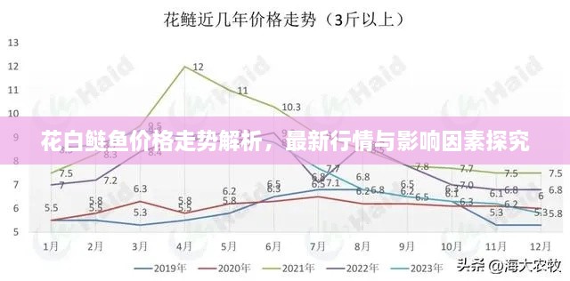 花白鲢鱼价格走势解析，最新行情与影响因素探究