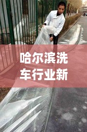 哈尔滨洗车行业新动态，地方发展观察与新闻头条