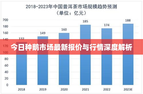 今日种鹅市场最新报价与行情深度解析