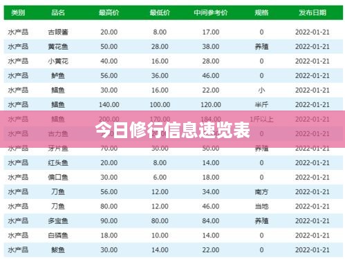 今日修行信息速览表