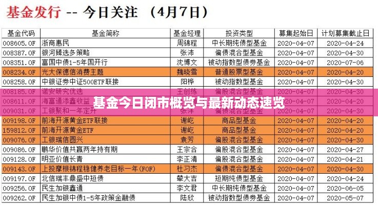 基金今日闭市概览与最新动态速览