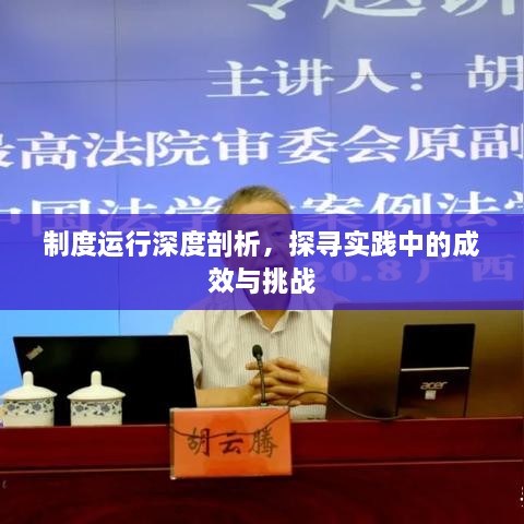 制度运行深度剖析，探寻实践中的成效与挑战