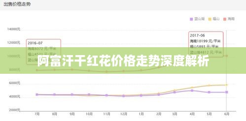 阿富汗干红花价格走势深度解析