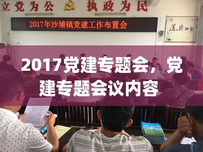 2017党建专题会，党建专题会议内容 