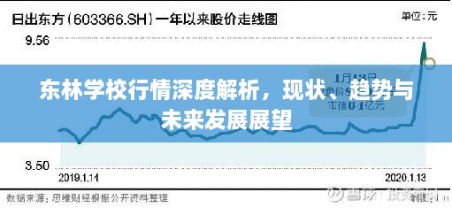 东林学校行情深度解析，现状、趋势与未来发展展望