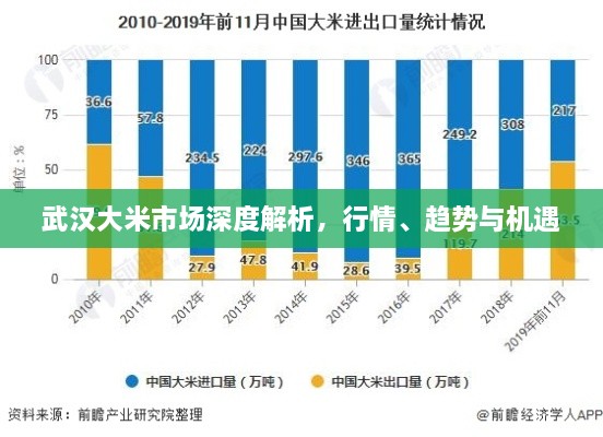 武汉大米市场深度解析，行情、趋势与机遇