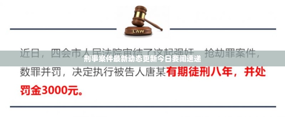 刑事案件最新动态更新今日要闻速递