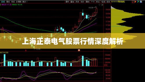 上海正泰电气股票行情深度解析