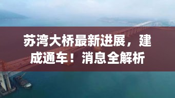 苏湾大桥最新进展，建成通车！消息全解析