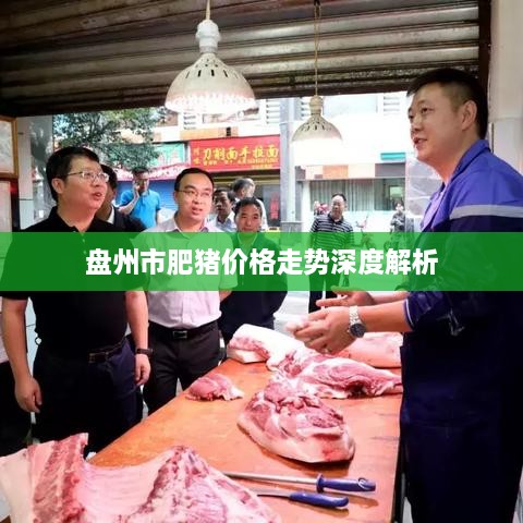 盘州市肥猪价格走势深度解析