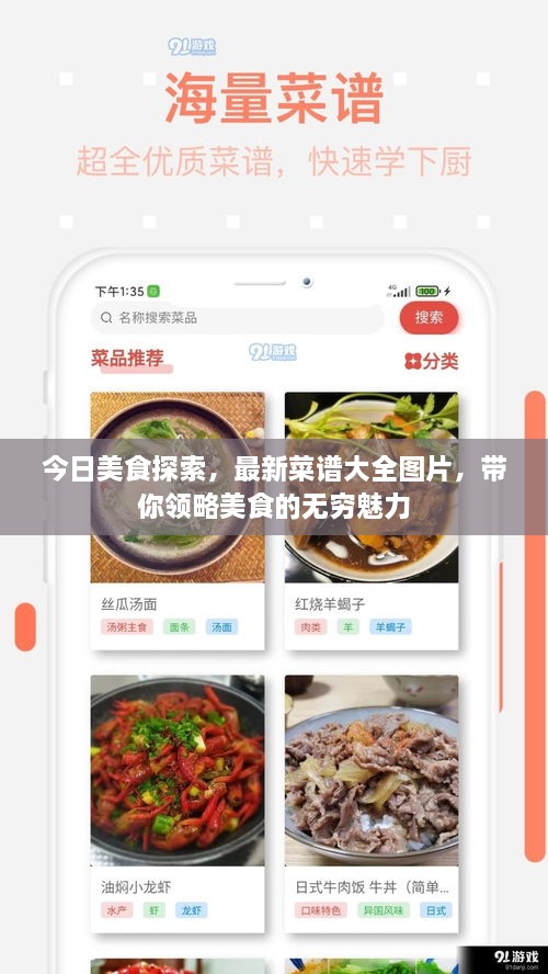 今日美食探索，最新菜谱大全图片，带你领略美食的无穷魅力