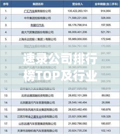 速录公司排行榜TOP及行业影响力解析