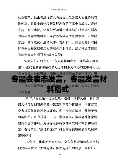 专题会表态发言，专题发言材料格式 