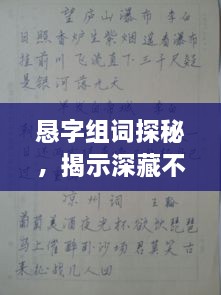 恳字组词探秘，揭示深藏不露的百度智慧