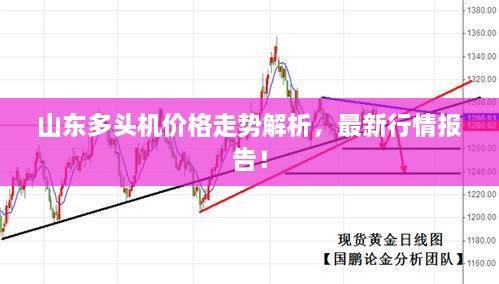 山东多头机价格走势解析，最新行情报告！