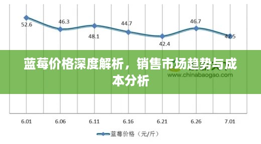 蓝莓价格深度解析，销售市场趋势与成本分析