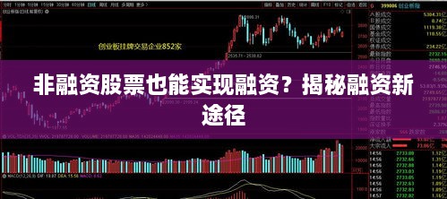 非融资股票也能实现融资？揭秘融资新途径