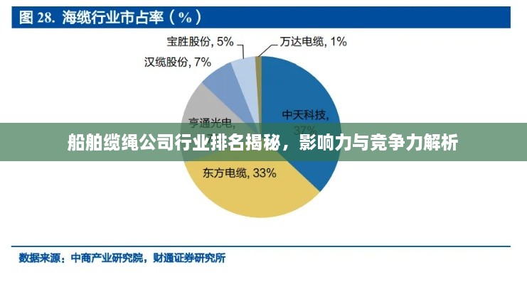 船舶缆绳公司行业排名揭秘，影响力与竞争力解析