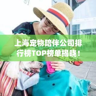 上海宠物陪伴公司排行榜TOP榜单揭晓！