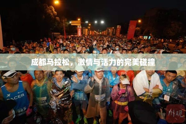 成都马拉松，激情与活力的完美碰撞
