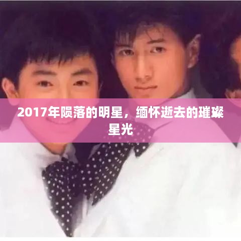 2017年陨落的明星，缅怀逝去的璀璨星光