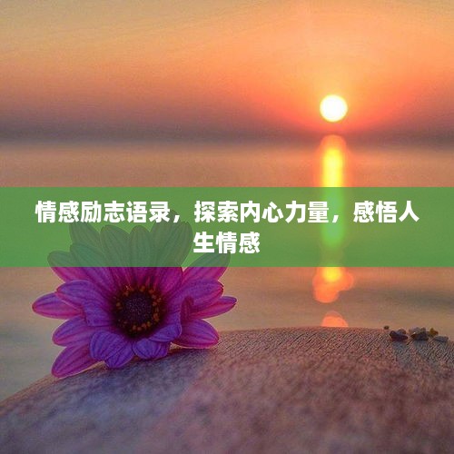 情感励志语录，探索内心力量，感悟人生情感