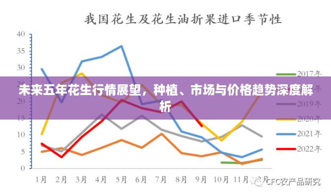 未来五年花生行情展望，种植、市场与价格趋势深度解析