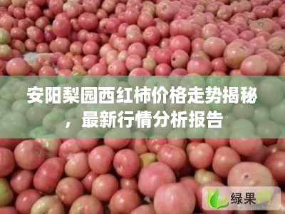 安阳梨园西红柿价格走势揭秘，最新行情分析报告