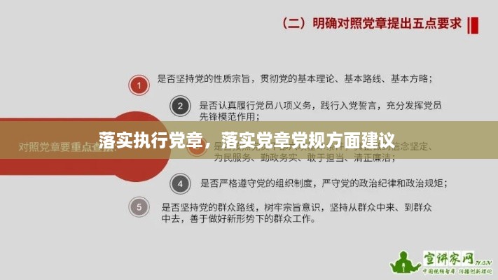 落实执行党章，落实党章党规方面建议 