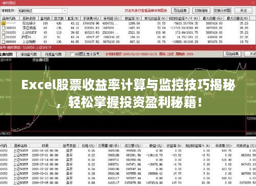 Excel股票收益率计算与监控技巧揭秘，轻松掌握投资盈利秘籍！