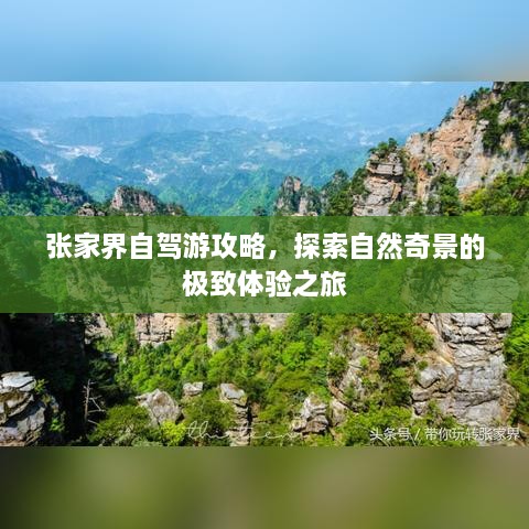 张家界自驾游攻略，探索自然奇景的极致体验之旅