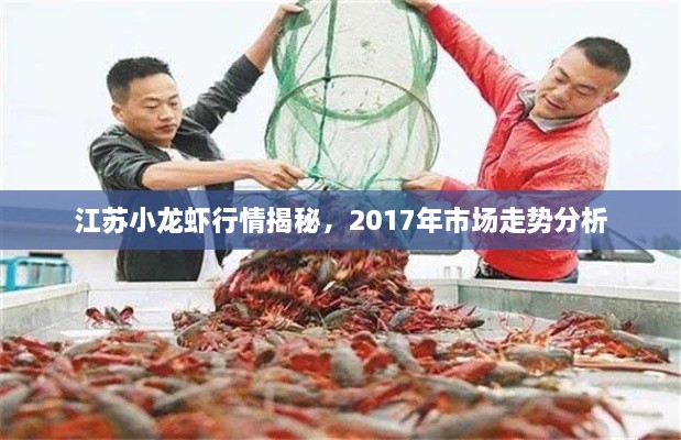 江苏小龙虾行情揭秘，2017年市场走势分析