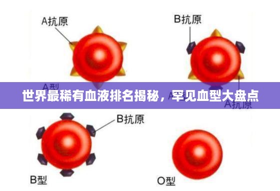 世界最稀有血液排名揭秘，罕见血型大盘点