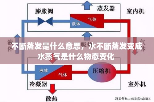 2025年2月16日 第6页