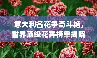 意大利名花争奇斗艳，世界顶级花卉榜单揭晓！