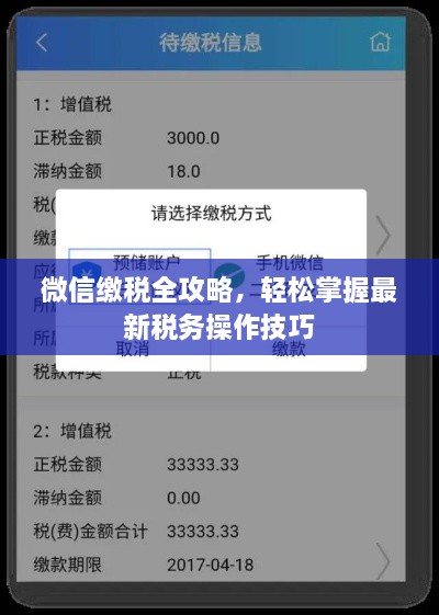 微信缴税全攻略，轻松掌握最新税务操作技巧