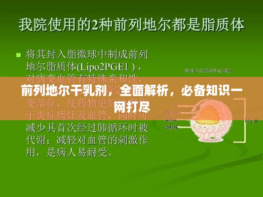 前列地尔干乳剂，全面解析，必备知识一网打尽