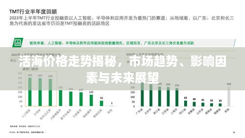 活海价格走势揭秘，市场趋势、影响因素与未来展望