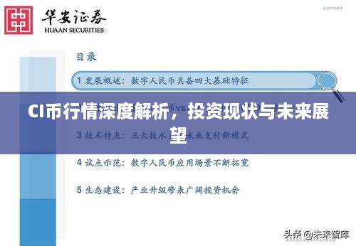 CI币行情深度解析，投资现状与未来展望