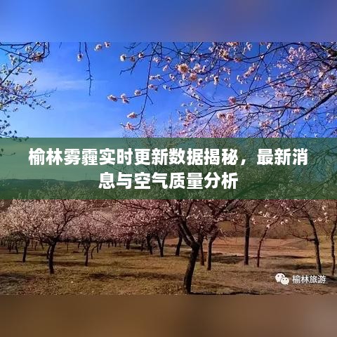 榆林雾霾实时更新数据揭秘，最新消息与空气质量分析