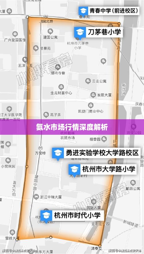 氨水市场行情深度解析