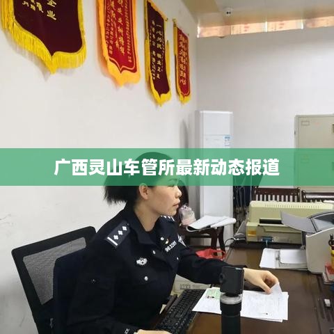 广西灵山车管所最新动态报道