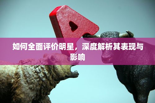 如何全面评价明星，深度解析其表现与影响